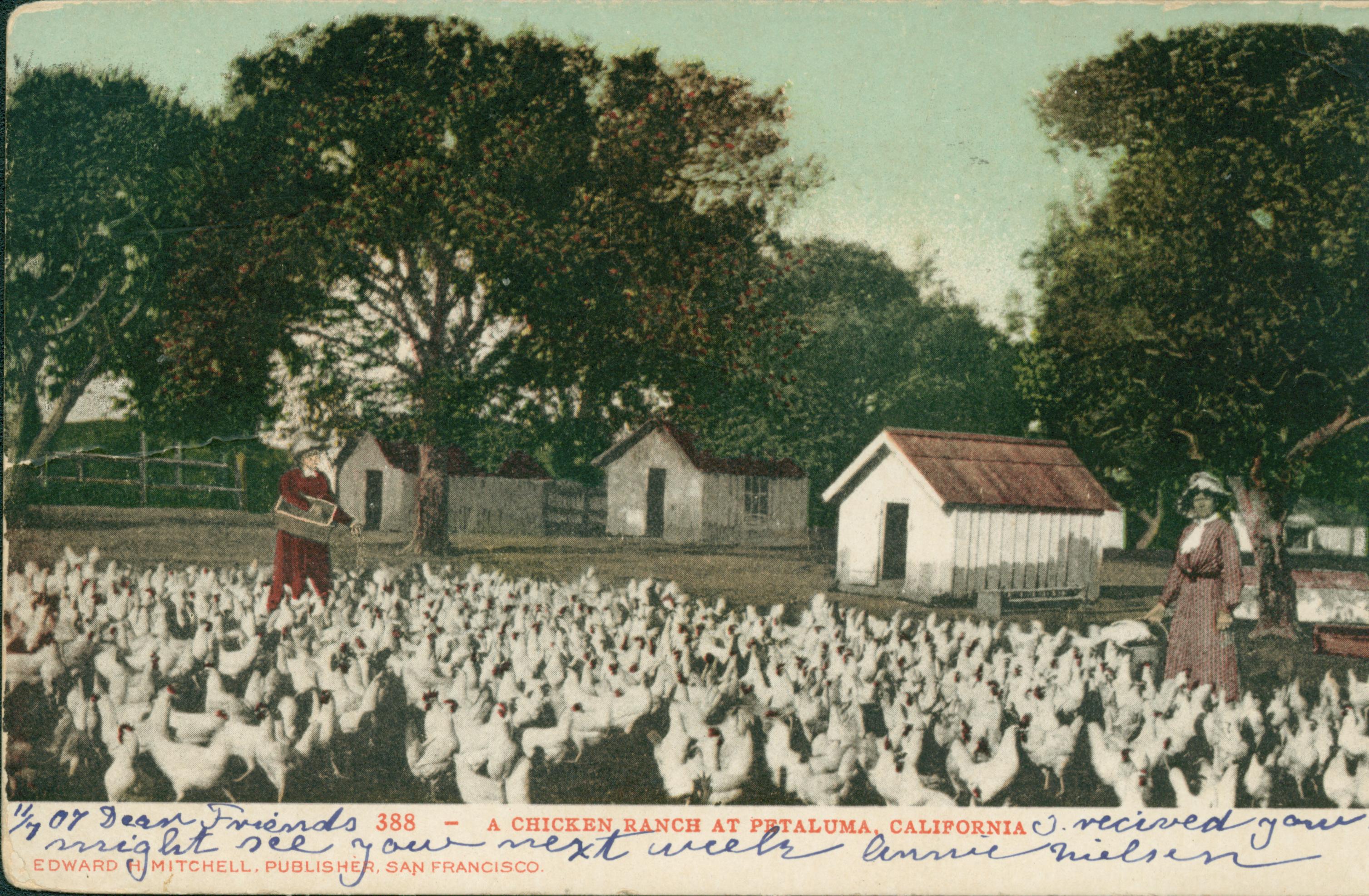 Shows a flock of chickens with two women tending them and several buildings in the background